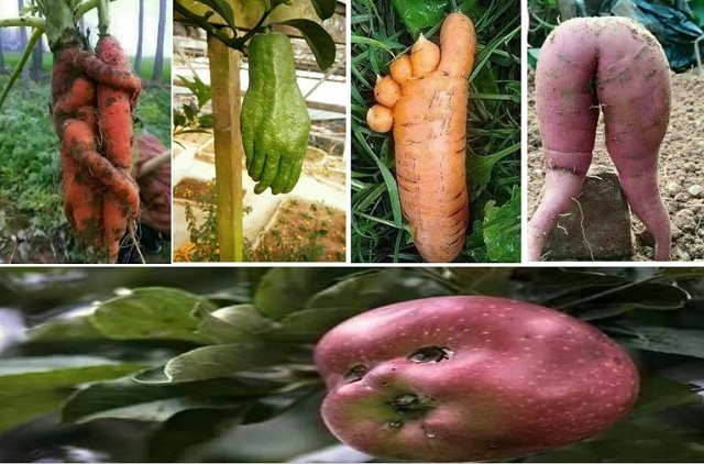 'Atentai para a minha repreensão; pois eis que vos derramarei abundantemente do meu espírito e vos farei saber as minhas palavras'.  Provérbios 1:23